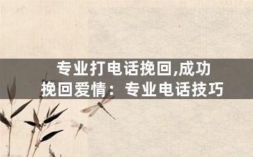 专业打电话挽回,成功挽回爱情：专业电话技巧