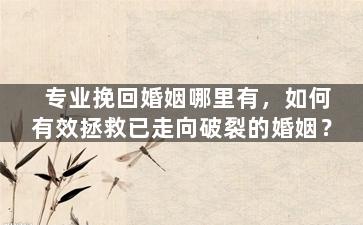 专业挽回婚姻哪里有，如何有效拯救已走向破裂的婚姻？
