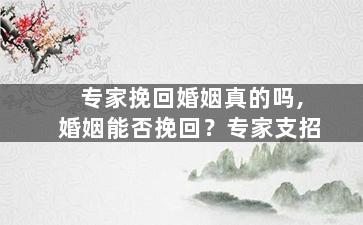专家挽回婚姻真的吗,婚姻能否挽回？专家支招