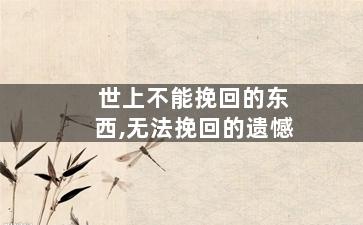 世上不能挽回的东西,无法挽回的遗憾