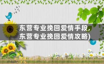 东营专业挽回爱情手段,东营专业挽回爱情攻略)