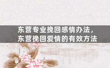 东营专业挽回感情办法，东营挽回爱情的有效方法