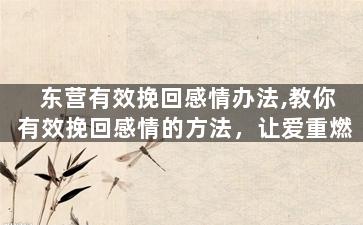 东营有效挽回感情办法,教你有效挽回感情的方法，让爱重燃