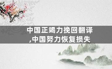 中国正竭力挽回翻译,中国努力恢复损失
