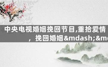 中央电视婚姻挽回节目,重拾爱情，挽回婚姻——央视婚姻大师