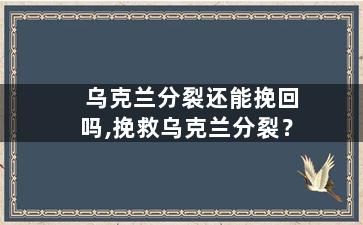 乌克兰分裂还能挽回吗,挽救乌克兰分裂？