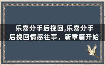 乐嘉分手后挽回,乐嘉分手后挽回情感往事，新章篇开始