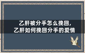 乙肝被分手怎么挽回,乙肝如何挽回分手的爱情