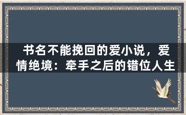 书名不能挽回的爱小说，爱情绝境：牵手之后的错位人生