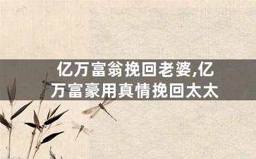 亿万富翁挽回老婆,亿万富豪用真情挽回太太