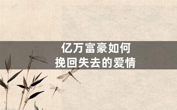亿万富豪如何挽回失去的爱情（亿万富豪如何挽回失去的爱情电影）