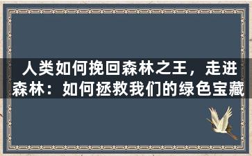 人类如何挽回森林之王，走进森林：如何拯救我们的绿色宝藏