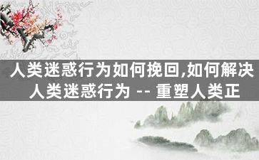 人类迷惑行为如何挽回,如何解决人类迷惑行为