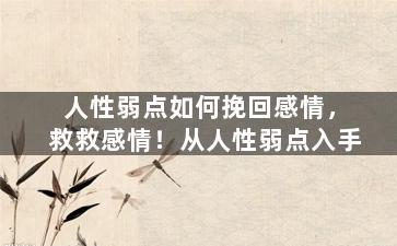 人性弱点如何挽回感情，救救感情！从人性弱点入手