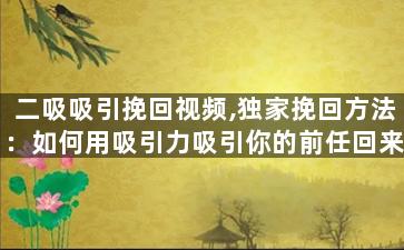 二吸吸引挽回视频,独家挽回方法：如何用吸引力吸引你的前任回来