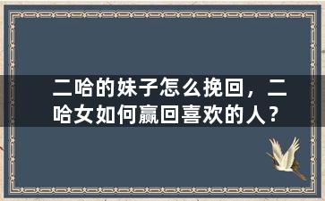 二哈的妹子怎么挽回，二哈女如何赢回喜欢的人？