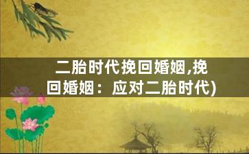 二胎时代挽回婚姻,挽回婚姻：应对二胎时代)