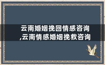 云南婚姻挽回情感咨询,云南情感婚姻挽救咨询