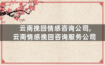 云南挽回情感咨询公司,云南情感挽回咨询服务公司