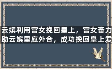 云嫔利用宫女挽回皇上，宫女奋力助云嫔里应外合，成功挽回皇上爱情