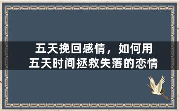 五天挽回感情，如何用五天时间拯救失落的恋情