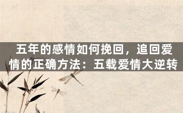 五年的感情如何挽回，追回爱情的正确方法：五载爱情大逆转