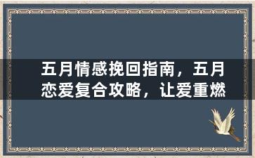 五月情感挽回指南，五月恋爱复合攻略，让爱重燃