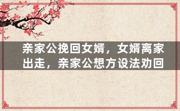 亲家公挽回女婿，女婿离家出走，亲家公想方设法劝回