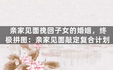 亲家见面挽回子女的婚姻，终极拼图：亲家见面敲定复合计划