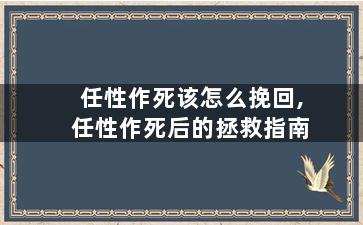 任性作死该怎么挽回,任性作死后的拯救指南
