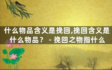 什么物品含义是挽回,挽回含义是什么物品？
