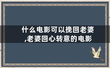 什么电影可以挽回老婆,老婆回心转意的电影