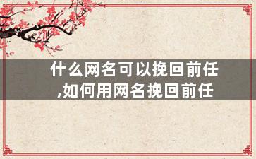 什么网名可以挽回前任,如何用网名挽回前任