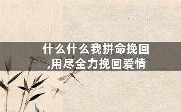 什么什么我拼命挽回,用尽全力挽回爱情