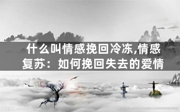 什么叫情感挽回冷冻,情感复苏：如何挽回失去的爱情