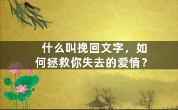 什么叫挽回文字，如何拯救你失去的爱情？