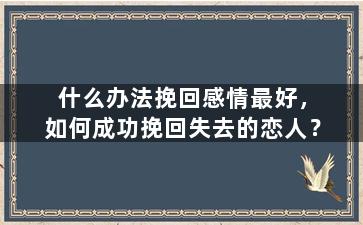 什么办法挽回感情最好，如何成功挽回失去的恋人？