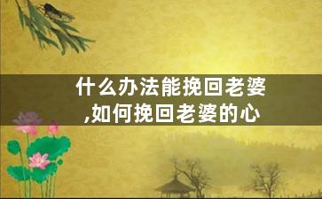 什么办法能挽回老婆,如何挽回老婆的心