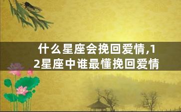 什么星座会挽回爱情,12星座中谁最懂挽回爱情