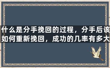 什么是分手挽回的过程，分手后该如何重新挽回，成功的几率有多大？