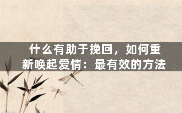 什么有助于挽回，如何重新唤起爱情：最有效的方法