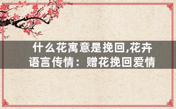 什么花寓意是挽回,花卉语言传情：赠花挽回爱情