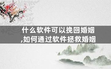 什么软件可以挽回婚姻,如何通过软件拯救婚姻