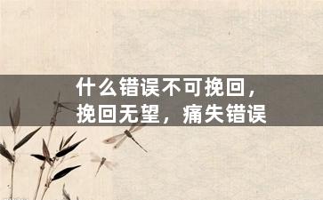 什么错误不可挽回，挽回无望，痛失错误