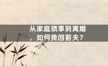 从家庭琐事到离婚，如何挽回前夫？