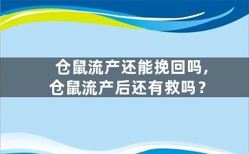 仓鼠流产还能挽回吗,仓鼠流产后还有救吗？