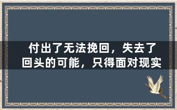 付出了无法挽回，失去了回头的可能，只得面对现实