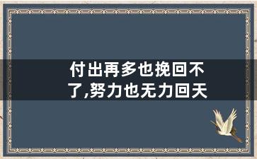 付出再多也挽回不了,努力也无力回天