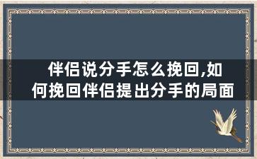 伴侣说分手怎么挽回,如何挽回伴侣提出分手的局面