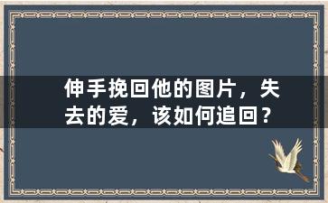 伸手挽回他的图片，失去的爱，该如何追回？